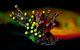 Projektor projectiondesign FR12 wuxga